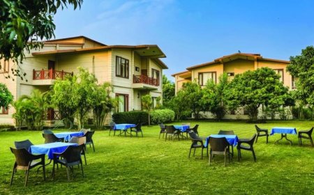 OYO celebrates Holi and India’s Champions Trophy victory with 2000 free stays daily