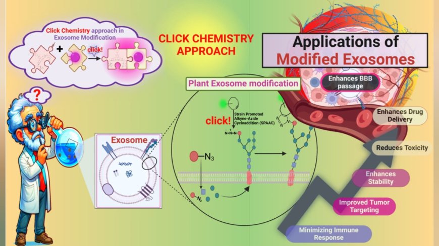 An Innovative Approach to Cancer Treatment: Click-Modified Exosomes Pave the Way for Targeted, Personalized Therapy