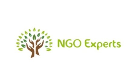 Planning to Start NGO, then ‘Section 8 Company’ is the Best Option in the Era of Digital India