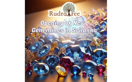 RudraTree Expands Sri Lanka Operations with New Blue Sapphire and Yellow Sapphire Mines