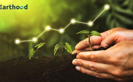 Leading the way: Earthood’s Pioneering Role in Sustainable Agriculture and Climate Resilience