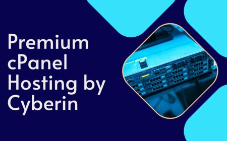Cyberin Premium cPanel Hosting Is Smart Choice for Businesses in 2025