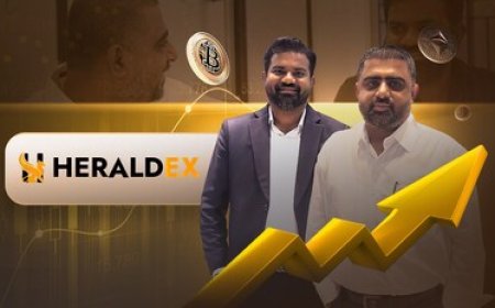 HeraldEX Defines the Future with Its One-Stop Crypto Platform for Businesses