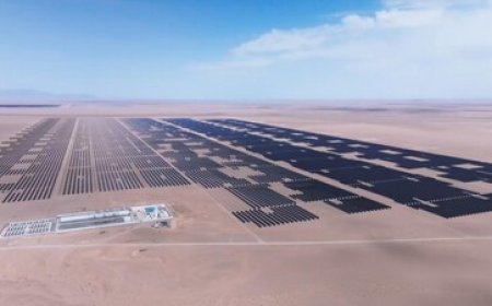Trinasolar's Vertex modules revive the Gobi Desert, expanding clean energy and ecological recovery