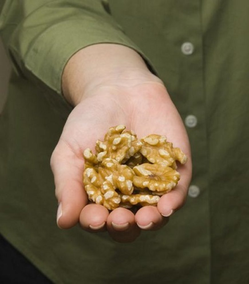 Walnuts Among Omega-3 Foods Linked to Brain Development Benefits in Children and Adolescents