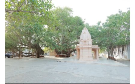 Historic Paryushan Festival at Siddhavad Tirth, Palitana