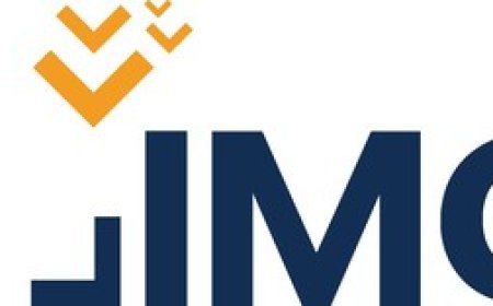 IMG Shares 2025 Autumn Travel Trends: Top Destinations and Increased Spending