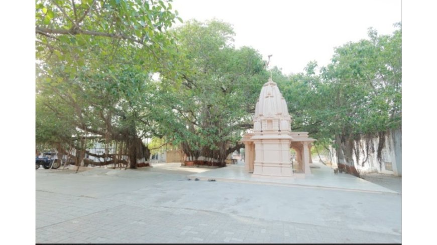 Historic Paryushan Festival at Siddhavad Tirth, Palitana