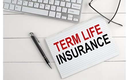 Term Insurance Guide: All You Need to Know About This Simple but Essential Plan