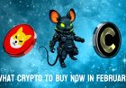 What Crypto To Buy Now in February as Prices Are Down: Shiba Inu and Canton Make Sense, but DeepSnitch AI Is the Most Explosive 100x Deal